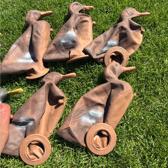 Vintage Duck Hunting Decoys Set - Picture 7 of 10